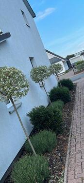 Foto - 3 Zimmer Etagenwohnung in Stuhr