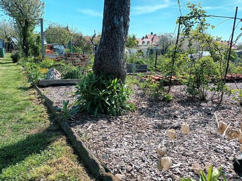 Foto - Pachtgarten mit Highlight - 3.450,00&nbsp;EUR Kaltmiete, ca.&nbsp; 0,00&nbsp;m&sup2;