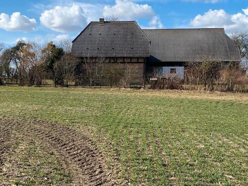 Foto - 5 Zimmer Einfamilienhaus in Penzlin