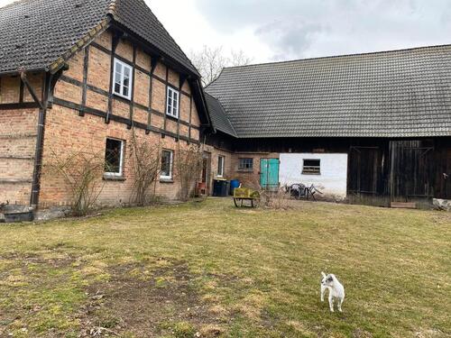 Foto - Einfamilienhaus in Penzlin zum Kaufen