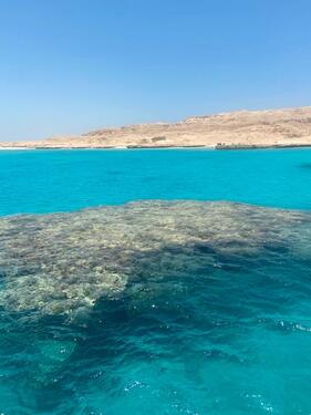 Foto - andere zur Miete in Bochum