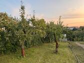Foto - Grundstück zur Miete in Apolda