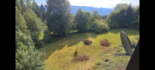 Foto - 