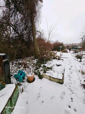 Foto - Grundst&uuml;ck zur Miete in Magdeburg