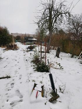 Foto - Grundst&uuml;ck in Magdeburg zur Miete