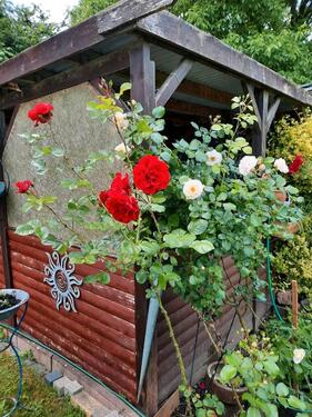 Foto - Grundst&uuml;ck zur Miete in Kiel