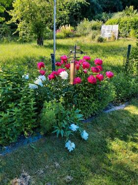 Foto - Grundst&uuml;ck in Kiel