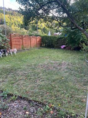 Foto - Grundst&uuml;ck zur Miete in Arnstadt