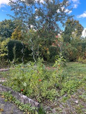 Foto - Grundst&uuml;ck in Arnstadt zur Miete
