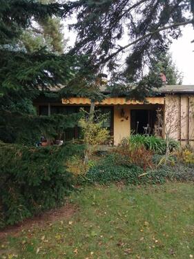 Foto - Bungalow mit Weitblick in die Dahlener Heide