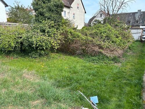 Foto - Kleingarten Garten Bad Homburg Ober Erlenbach