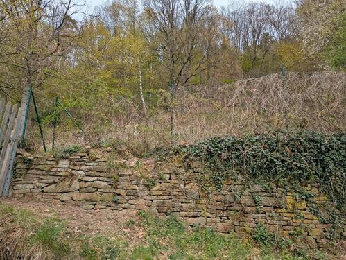 Foto - Grundst&uuml;ck zur Miete in Bad Orb