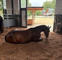 Renovierte 75 qm Wohnung über 2 Etagen - Nümbrecht Renovierte 75 qm Wohnung über 2 Etagen - Nümbrecht