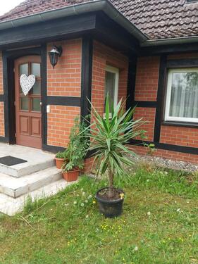 Foto - Haus mit sehr großem Grundstück, im Park