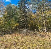 Baugrundstück mit viel Baumbestand - Adorf/Vogtland