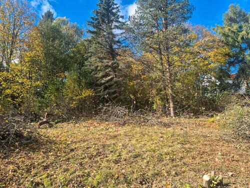 Foto - Grundstück zur Miete in Adorf/Vogtland