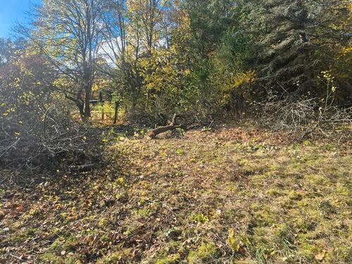 Foto - Grundstück in Adorf/Vogtland