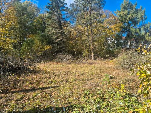 Foto - Grundstück in Adorf/Vogtland zur Miete