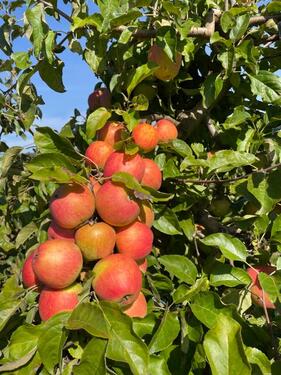 Foto - Grundstück in Erlenbach bei Marktheidenfeld zur Miete