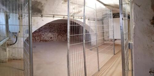 Foto - andere in Oranienburg