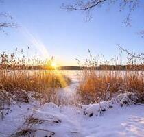 Doppelhaushälfte im Naturschutzgebiet - Ludwigsfelde
