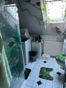 Foto - Etagenwohnung zur Miete in Celle