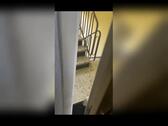 Foto - Etagenwohnung in Mannheim zur Miete