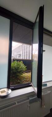 Foto - andere in Dortmund zur Miete