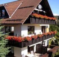 Wohnung in zentraler Lage mit herrlichen Ausblick - Braunlage Sankt Andreasberg