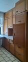 Foto - 4 Zimmer Erdgeschoßwohnung zur Miete in Ibbenbüren
