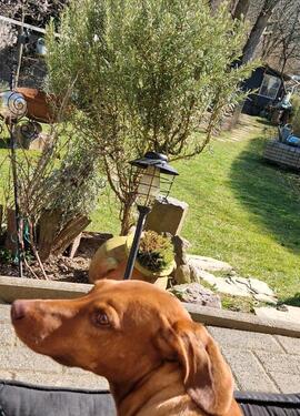 Foto - Helle Wohnung in Eitorf Mühleip