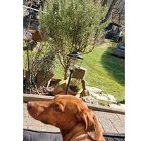 Helle Wohnung in Eitorf Mühleip