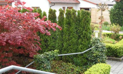 Foto - ***'3-GENERATIONENFAM.-HAUS'***245 m²***WOHNEN&ARBEITEN***ARCHIT