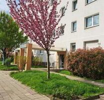 3-Raum-Wohnung mit Aufzug und Balkon - Halle (Saale) Halle-Neustadt