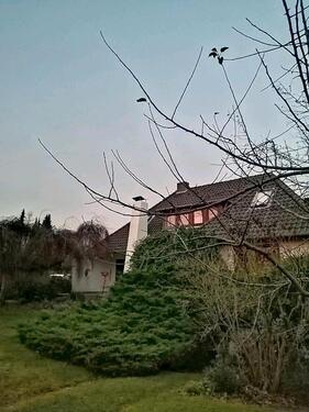 Foto - 8 Zimmer Einfamilienhaus zum Kaufen in Bad Bevensen