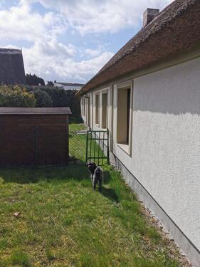 Foto - 6 Zimmer Einfamilienhaus in Koserow
