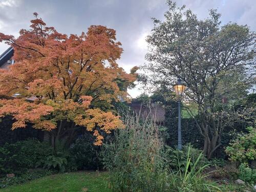 Foto - 6 Zimmer andere zur Miete in Moers