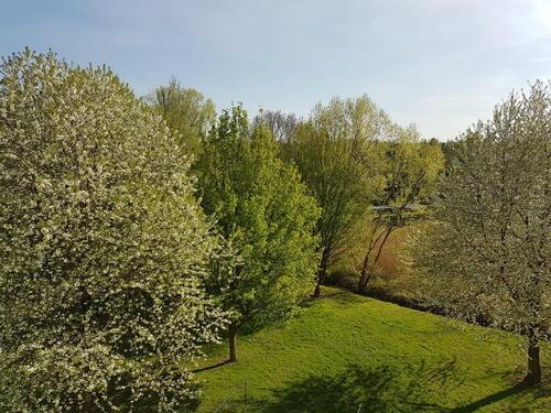 Foto - Etagenwohnung in Dresden zur Miete
