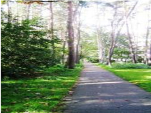 Foto - 3- Zimmer-Wohnung in Karlsruhe Waldstadt