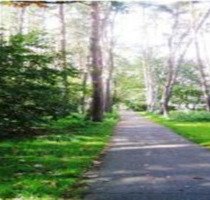 3- Zimmer-Wohnung in Karlsruhe Waldstadt - Welzheim