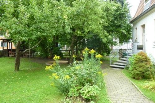 Foto - 3 Zimmer Erdgeschoßwohnung zur Miete in Dresden