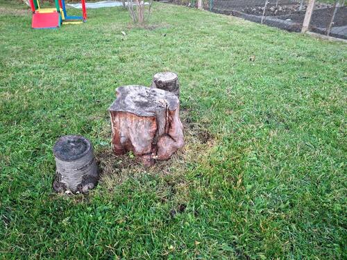 Foto - Grundst&uuml;ck zur Miete in Bautzen