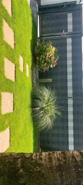 Foto - Einfamilienhaus in Duisburg zum Kaufen