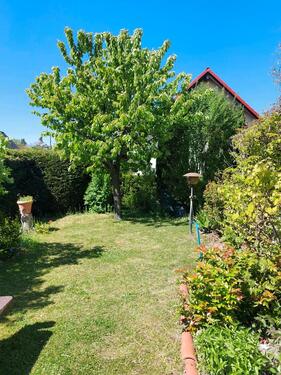 Foto - Einfamilienhaus in Berlin