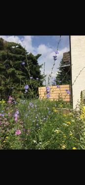 Foto - Haus mit schönem Natur-Garten - 620.000,00&nbsp;EUR Kaufpreis, ca.&nbsp; 115,00&nbsp;m&sup2;