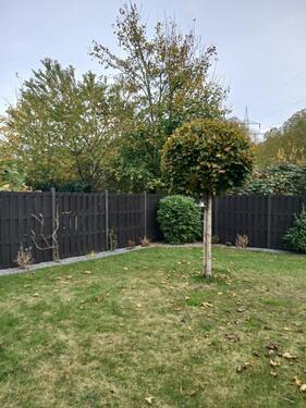 Foto - Doppelhaushälfte in Bremen zum Kaufen