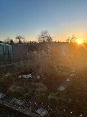 Foto - Den Sommer im eigenen Garten genießen?