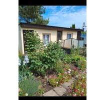 Garten im Kleingartenverein „Frohe Zukunft“ Carlshöhe - Neubrandenburg