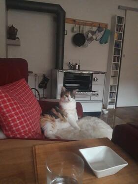 Foto - Doppelhaushälfte in Inzell