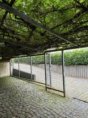 Foto - andere in Siegburg